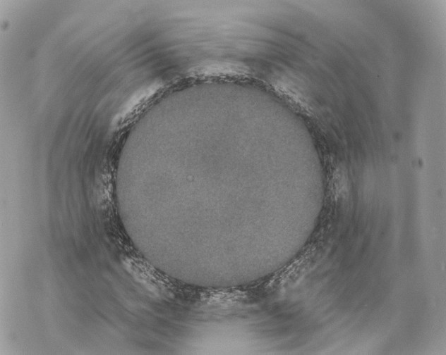 X0000070210824200606161639