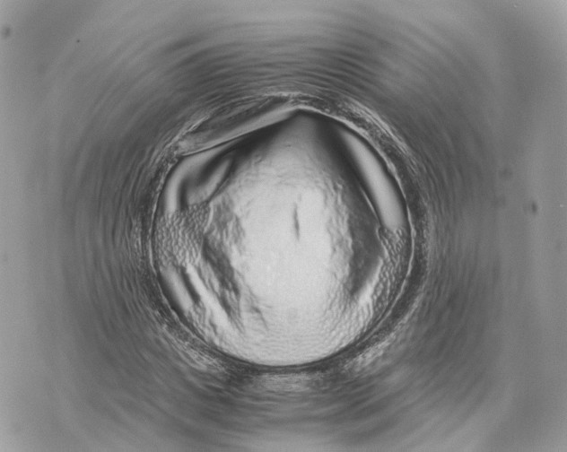 X0000070210825200606161639