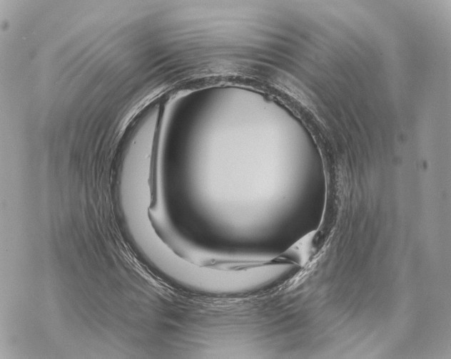 X0000070210826200606161639