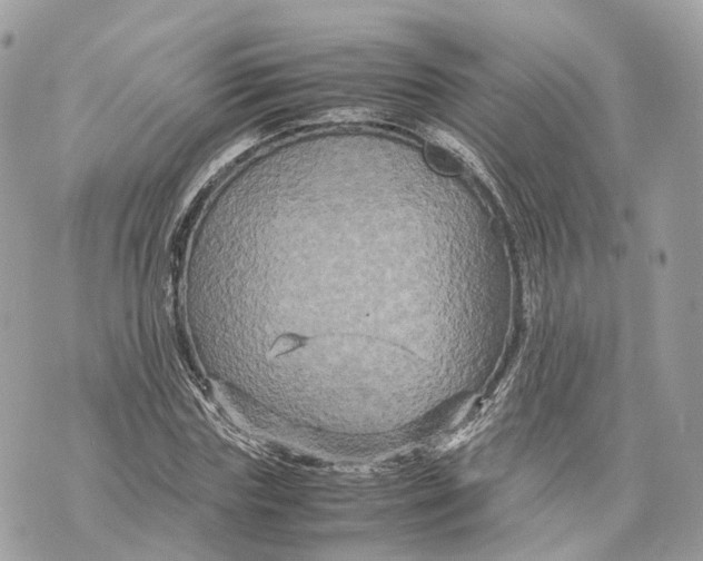 X0000070210827200606161639