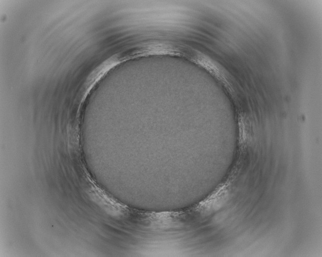 X0000070210828200606161639