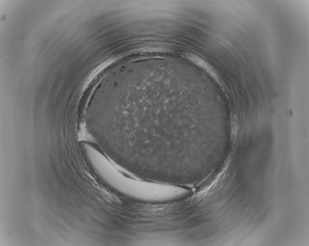 X0000070210829200606161639