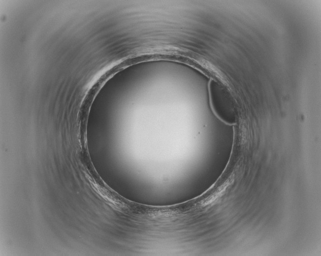 X0000070210830200606161639