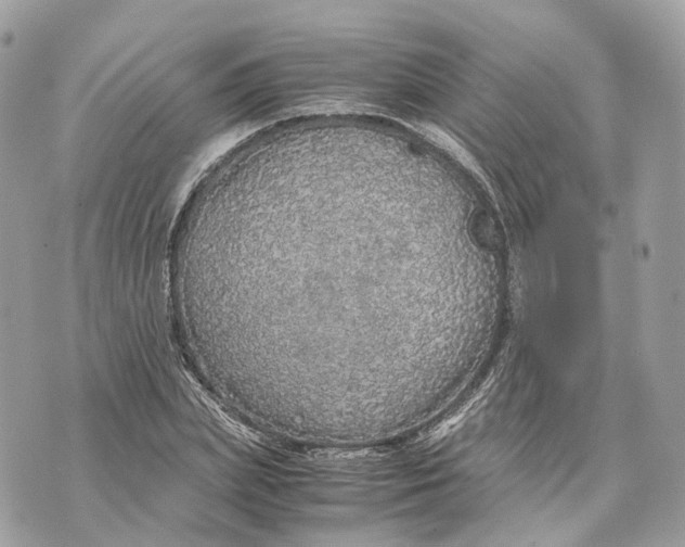 X0000070210831200606161639