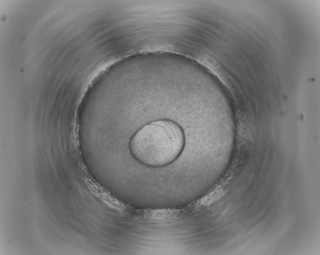 X0000070210832200606161639