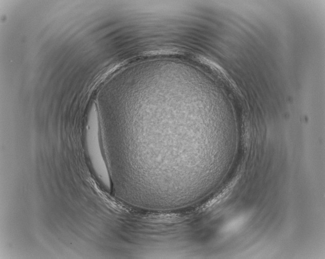 X0000070210833200606161639