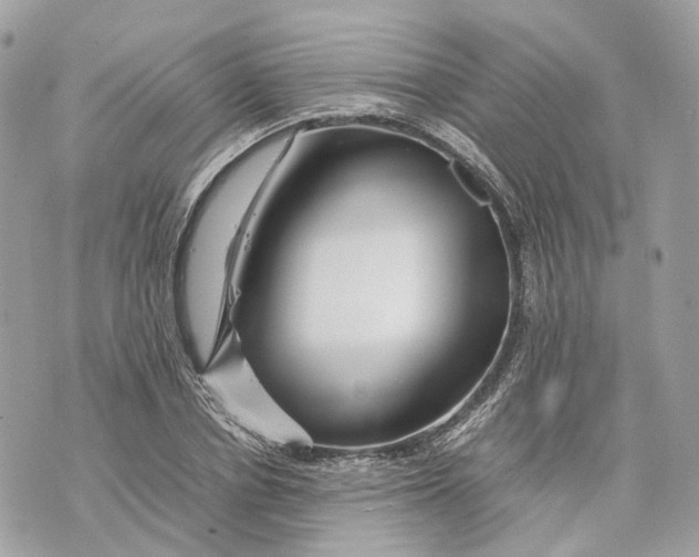 X0000070210834200606161639