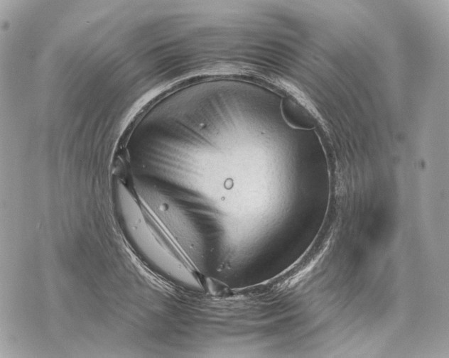 X0000070210837200606161639