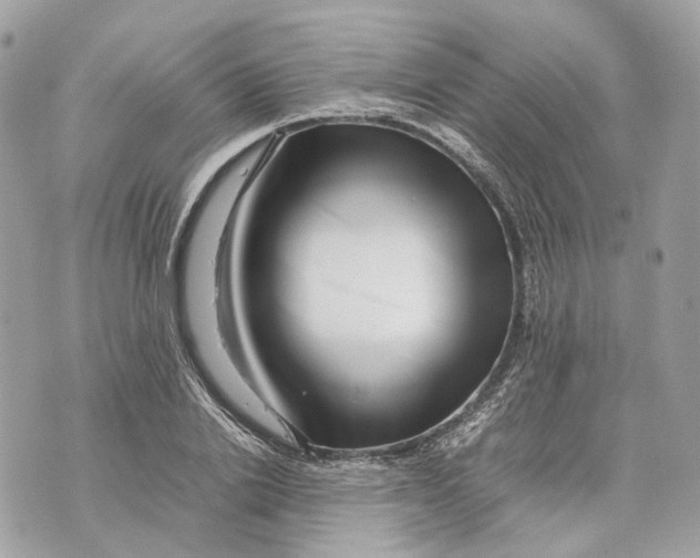 X0000070210838200606161639