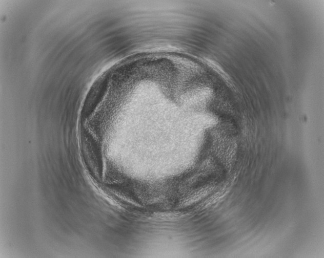 X0000070210840200606161639