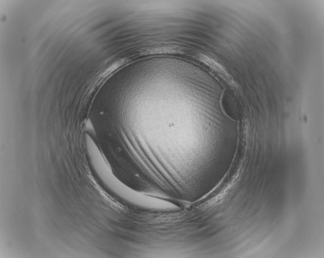 X0000070210841200606161639