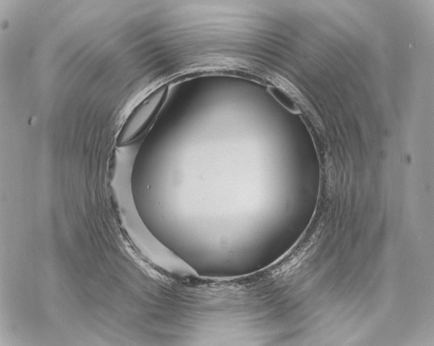 X0000070210842200606161639