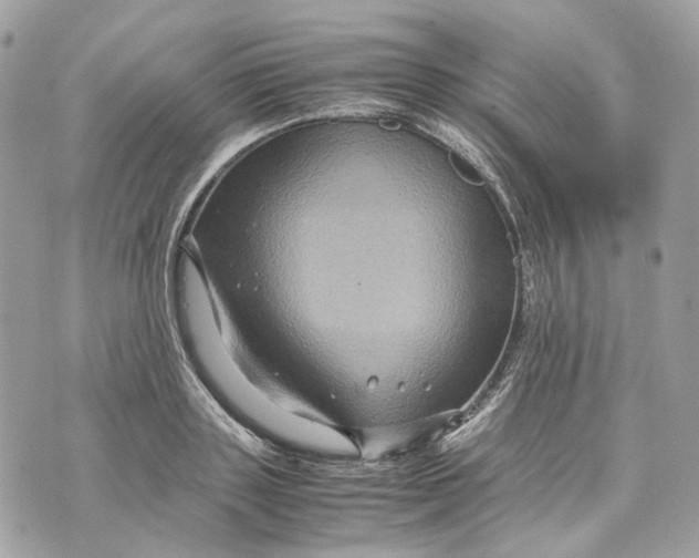 X0000070210843200606161640