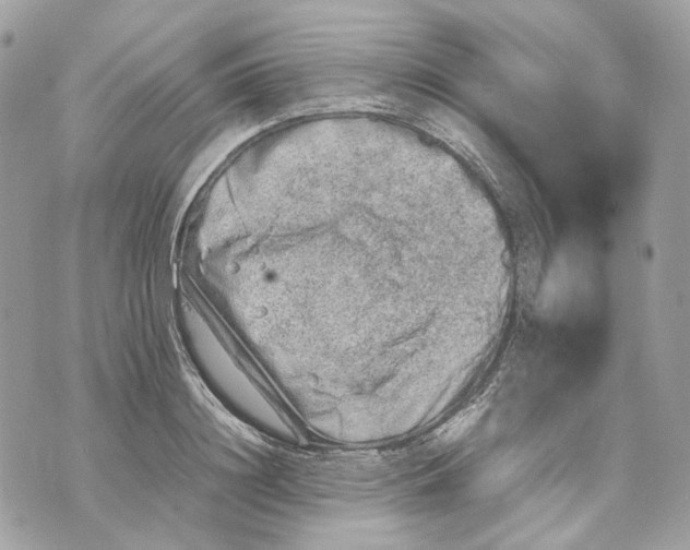 X0000070210844200606161640