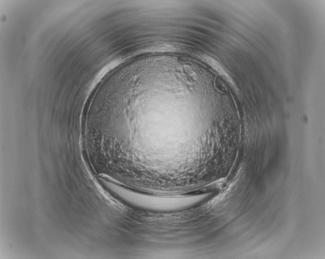 X0000070210845200606161640