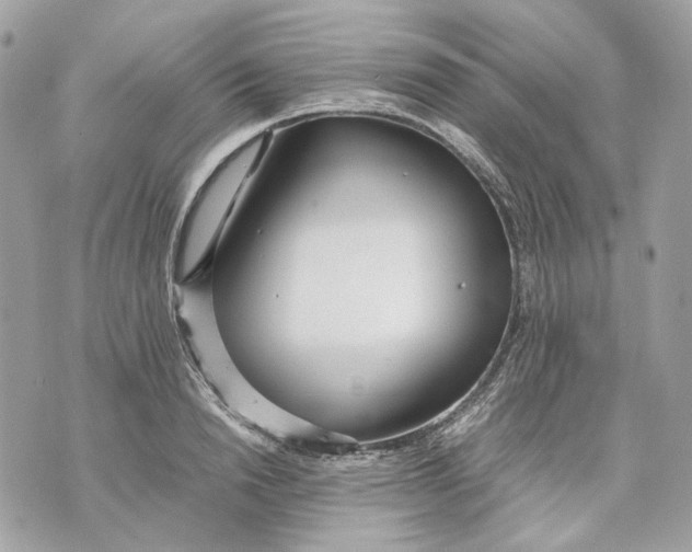 X0000070210846200606161640