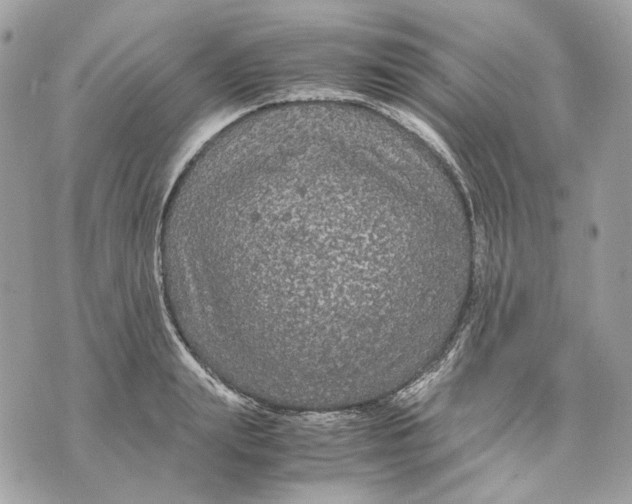 X0000070210847200606161640