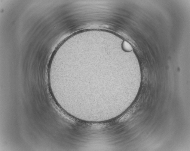 X0000070210848200606161640