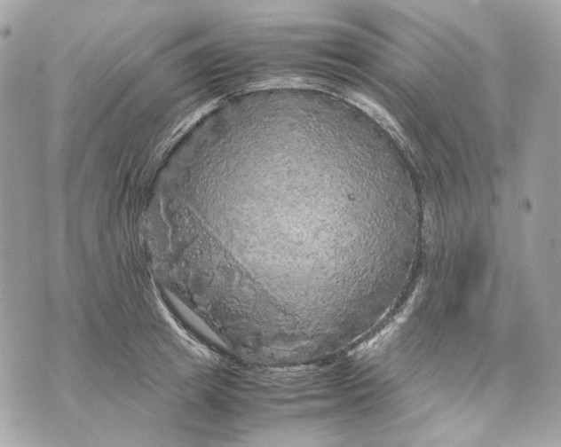 X0000070210849200606161640