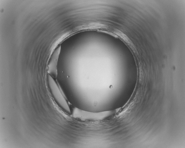 X0000070210850200606161640