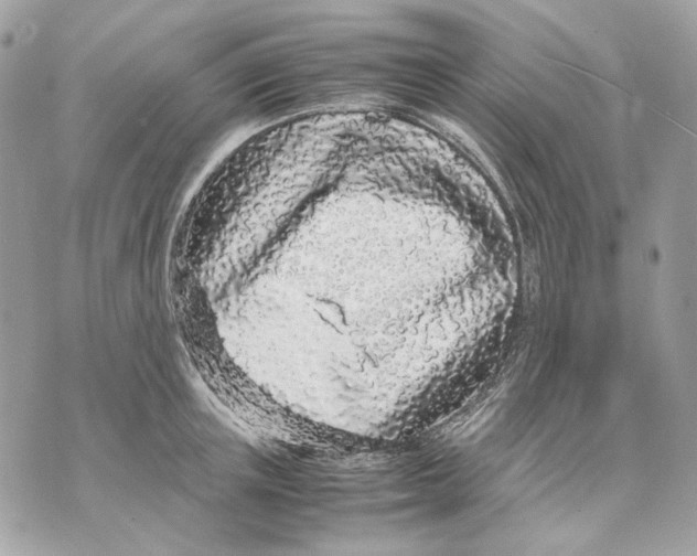 X0000070210851200606161640