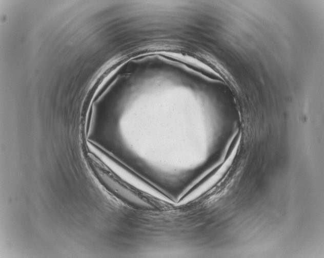 X0000070210853200606161640