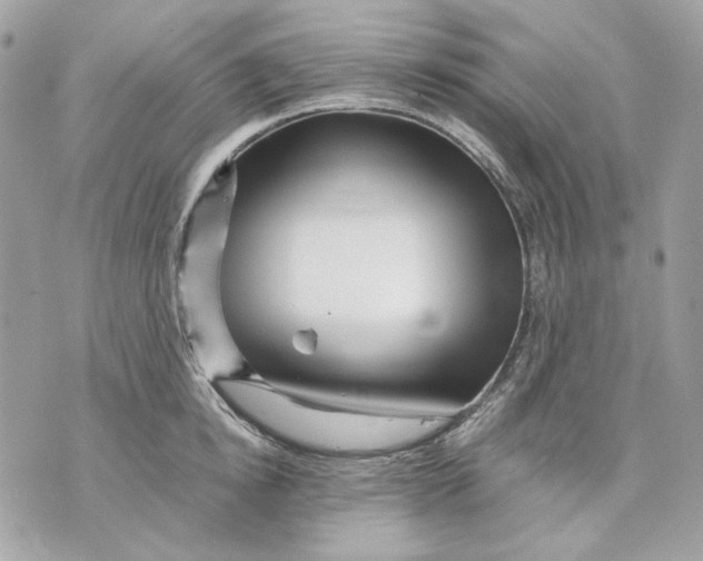 X0000070210854200606161640