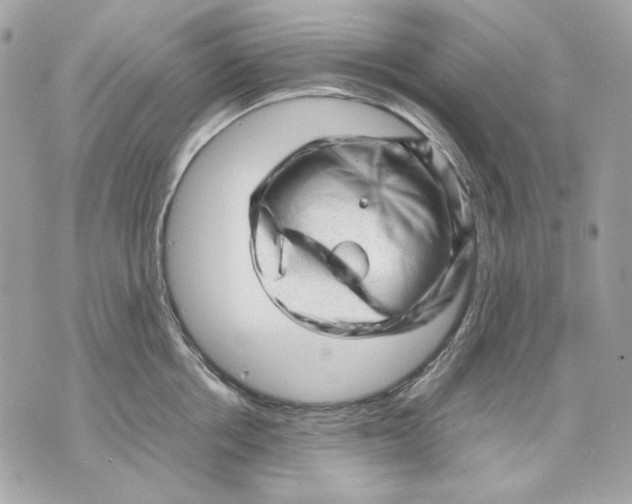 X0000070210858200606161640