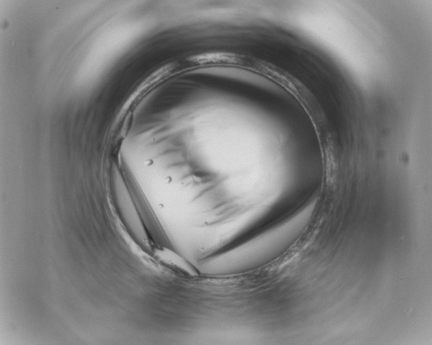 X0000070210861200606161640