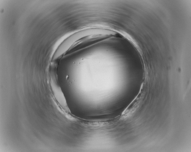 X0000070210862200606161640