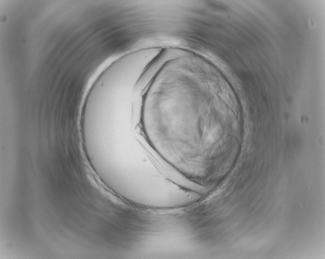 X0000070210864200606161640