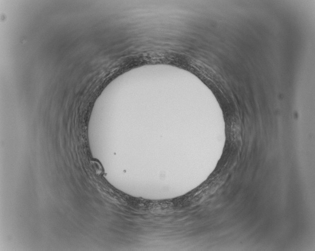 X0000070210865200606161639