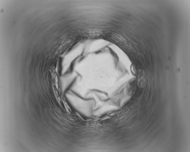 X0000070210866200606161639