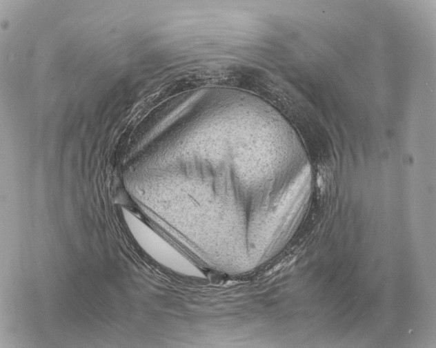 X0000070210867200606161639