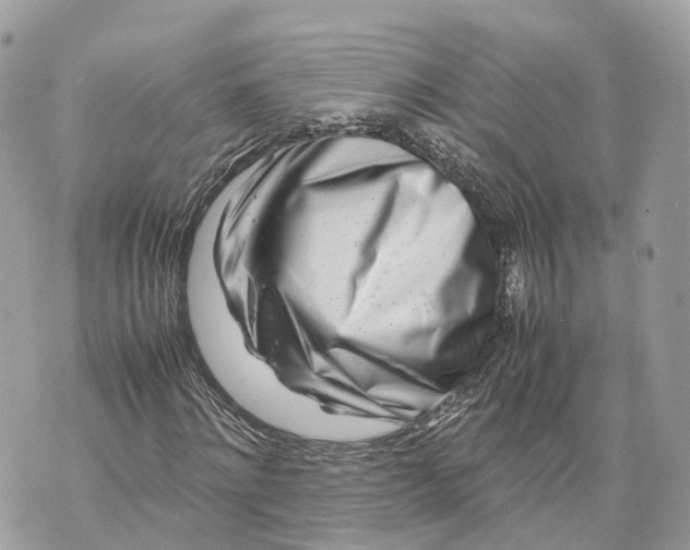 X0000070210868200606161639