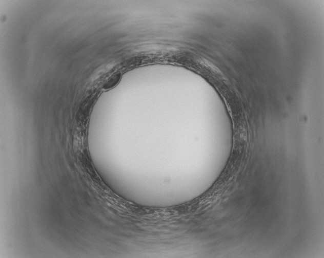 X0000070210869200606161639