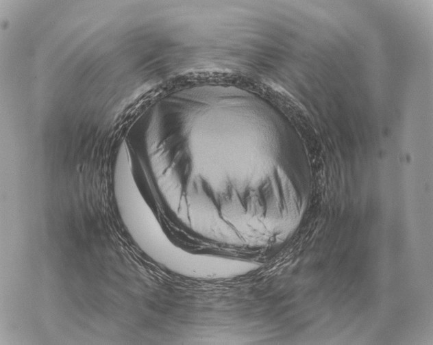 X0000070210870200606161639