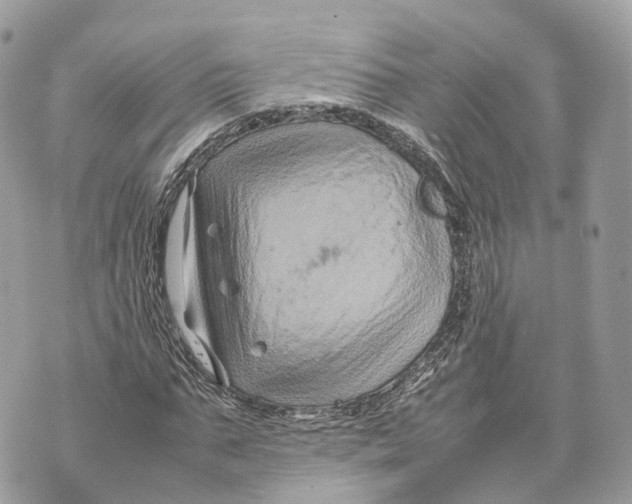 X0000070210871200606161639