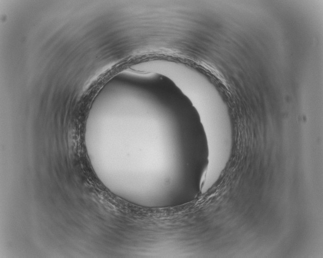 X0000070210872200606161639