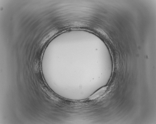 X0000070210873200606161639