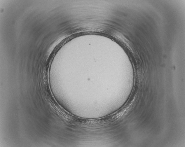 X0000070210875200606161639