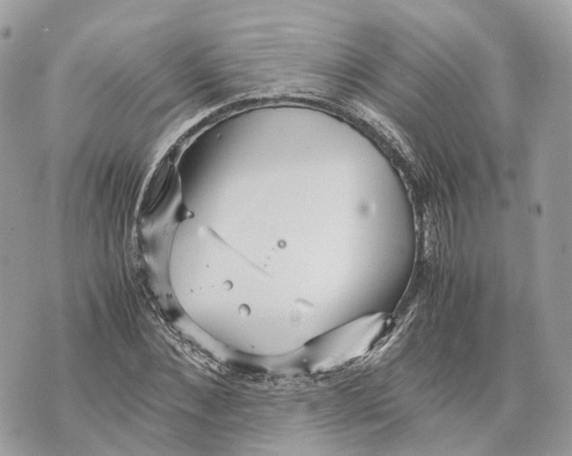 X0000070210876200606161639