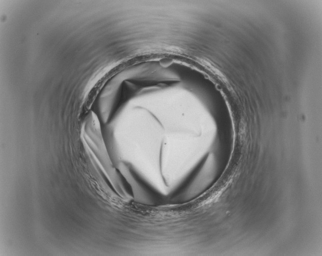 X0000070210877200606161639