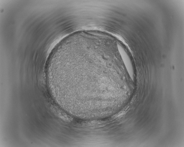 X0000070210879200606161639