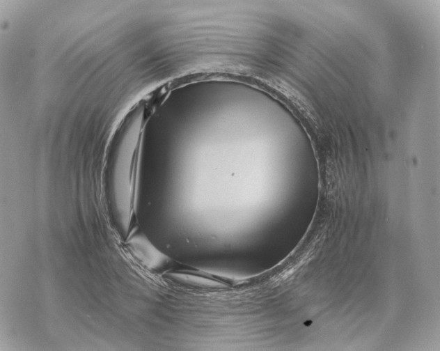 X0000070210880200606161639