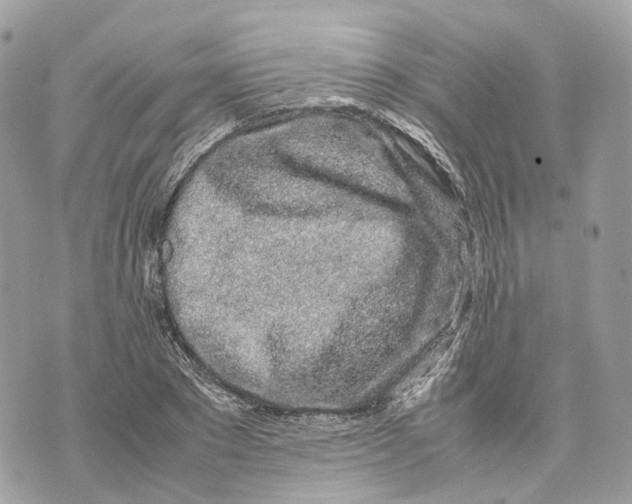 X0000070210881200606161639