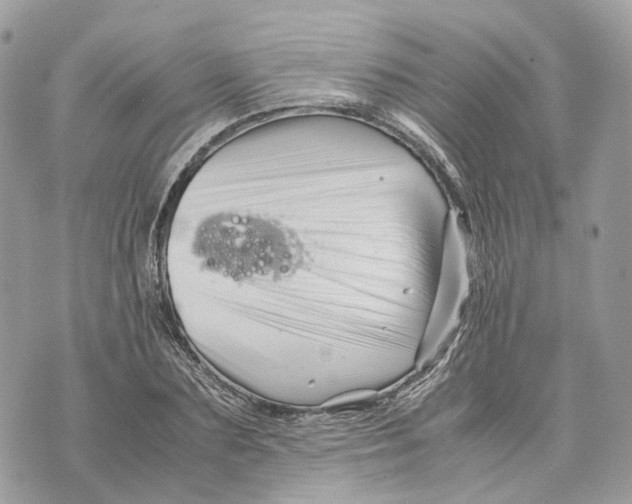 X0000070210883200606161639