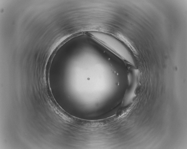 X0000070210884200606161639