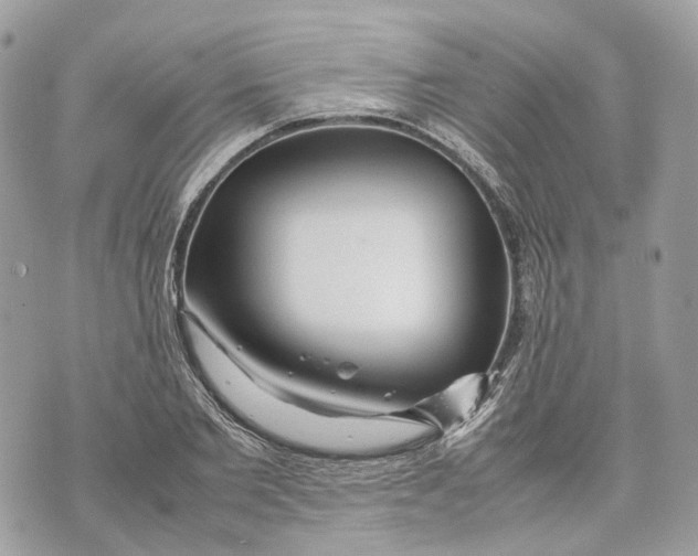 X0000070210885200606161639