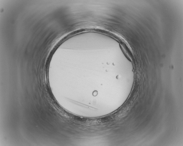 X0000070210887200606161639